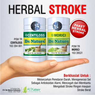 Illustration for article titled obat stroke